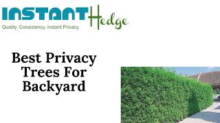 8 Options for Privacy Trees For Backyard | InstantHedge