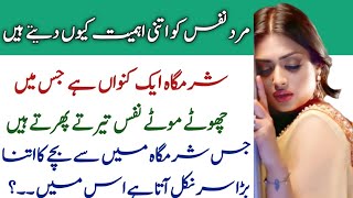 Nafs ka size aur sharamgah ka size kitna hota hai | نفس اور شرمگاہ کا سائز| Health and education