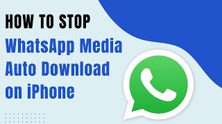 How to Stop WhatsApp from Downloading and Saving Photos, Videos Automatically on iPhone