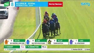 Balmerino Stakes 2024 - EL VENCEDOR (3YO+ WFA G3) Group 3 Ellerslie 5 November