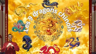 Les 9 dragons chinois