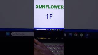 sunflower  #shorts  #astuce  #microsoftwindows  #msword  #microsoft