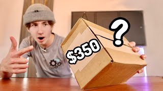 I Got Sent a $350 Fingerboard Mystery Box!?