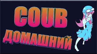 Домашний COUB #62