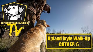 Cornerstone Gundog Academy Training Upland Style