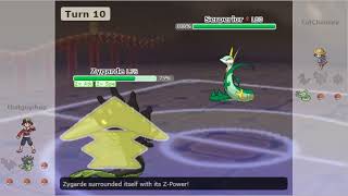 Zygarde Sweeps Pokemon Showdown