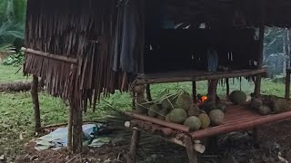 Suasana pagi dikebun durian, setelah menginap semalam