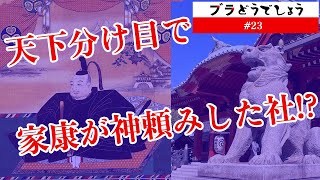 「家康が神頼みした社!?」ブラどうでしょう #23