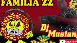 FAMÍLIA ZZ DISCO @DJ MUSTANG FUNK DA ANTIGA #01| #shorts