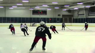 ADMIRALS HOCKEY CLUB v CHICAGO BLUES PW AA CHAMPIONSHIP GAME *SPRING 2014 *720p