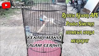 Review Kenari AFS Panda Simetris & Loper Bon Ijo Dapat Harga Murah Istimiwir