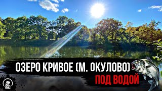 Подводное погружени на дно озера Кривое Малое Окулово.