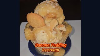 Banana Pudding Icecream