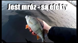 Jest mróz - są efekty czyli późnojesienny spinning! Grill na łódce