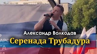 "Серенада Трубадура" Александр Волкодав - День Государственного флага РФ, Коньково, Москва 22.08.24