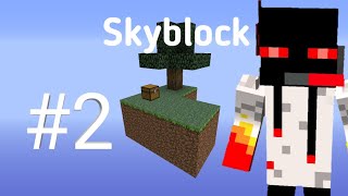 Skyblock #2