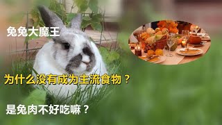 兔兔大魔王，为什么没有成为主流食物？是兔肉不好吃嘛？【唯物观】