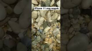 Что будет если отпустить iPhone 11 в морскую воду?