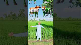 hum logon ko samjh sako tu samjho dilbar jani🥰||#trending #vfx #youtubeshorts #shorts