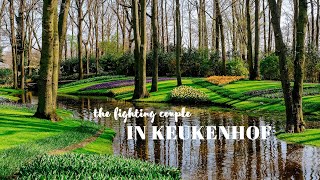 Keukenhof (Netherlands) - Opening Weekend of the Famous Dutch Tulips Park (4K)