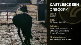 CASTLESCREEN GREGORY - Dexter