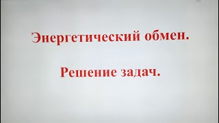 Энергетический обмен. Решение задач.