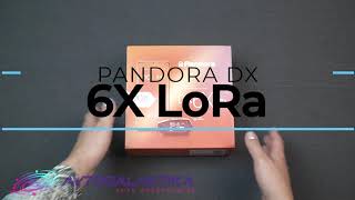 Розпакування сигналізації Pandora DX-6Х LoRa