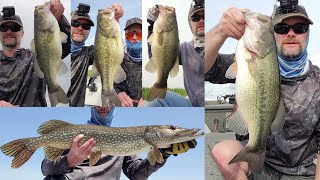 Bass/Pike Highlights '23 pt. 1