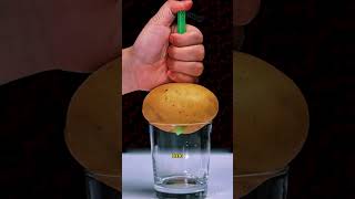 5 Mind-Blowing Science Experiments You Must Try! #facts #shorts