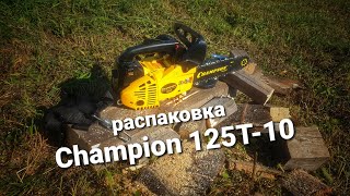 Бензопила Champion 125t-10. Первый запуск.