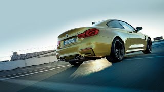 BMW M4 F82 Compilation