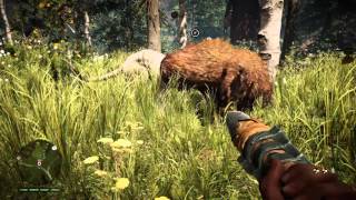 Far Cry Primal Gameplay Walkthrough Cave Lion vs Brown Bear