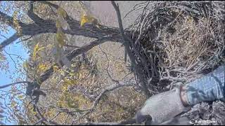 10 26 22 Bartlesville Eagle cam work