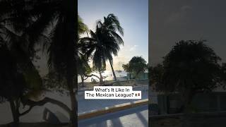 What’s It Like Playing In The Mexican League? #proball #baseball #mexicanleague #pitching