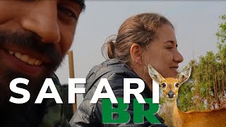 SAFARI NO PARQUE NACIONAL DAS EMAS EM GOIAS - Ep11