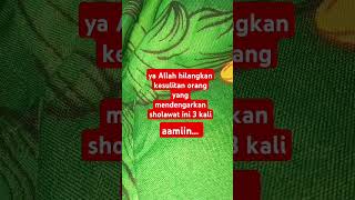 aamiin... #sholawat #doa #shortvideo