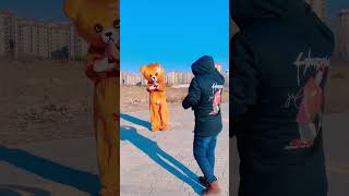 Funny Video l Funny Bear 🐻😂 P1615 #Shorts