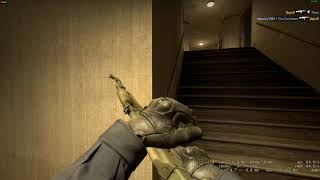 Counter Strike GO - Ace!