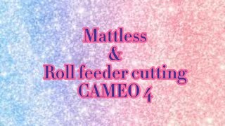 Mattless AND ROLL FEEDER cutting with CAMEO4