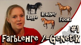 So entstehen die Pferdefarben - Farblehre und Genetik beim Pferd