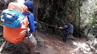 Pendakian Gunung Cikuray Via Kiara Janggot