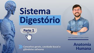 SISTEMA DIGESTÓRIO - PARTE 1 - CONCEITOS GERAIS, CAVIDADE BUCAL E GLÂNDULAS SALIVARES