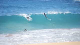 Wipeouts! Hawaii Surfing 2024