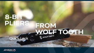 Taking a Quick Look at the Wolf Tooth 8-Bit Pliers/Multi-tool!