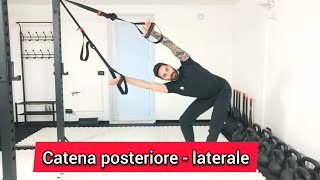 CATENA POSTERIORE -  LATERALE