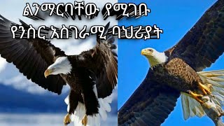 የንስር አስገራሚ ተፈጥሮአዊ ባህሪያት / amazing eagle behavior /