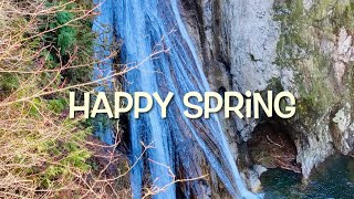 Happy Spring at Twin Falls Park