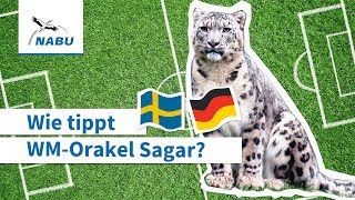 Wie tippt WM-Orakel Sagar: Deutschland vs. Schweden?