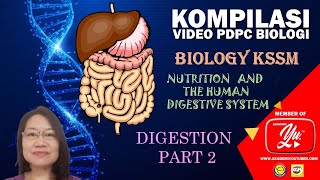 9.2   Digestion (Part 2)