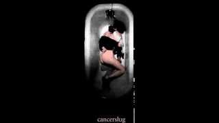 Cancerslug - There Is No End